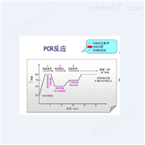 供应荧光PCR检测试剂盒公司