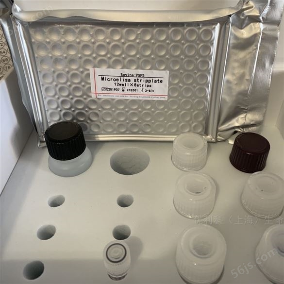 抗体检测试剂盒价格