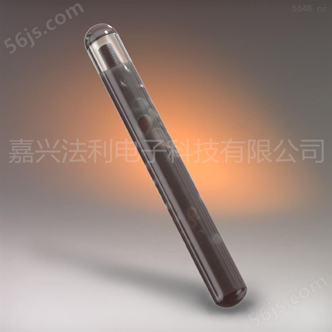 RFID电子标签低频Glass Tag Titan 13mm 602203嵌入式玻璃管标签