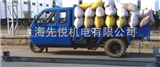 南京30吨电子称、厂家80吨地秤、100吨地磅价格
