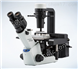供应奥林巴斯CKX53倒置显微镜多少钱